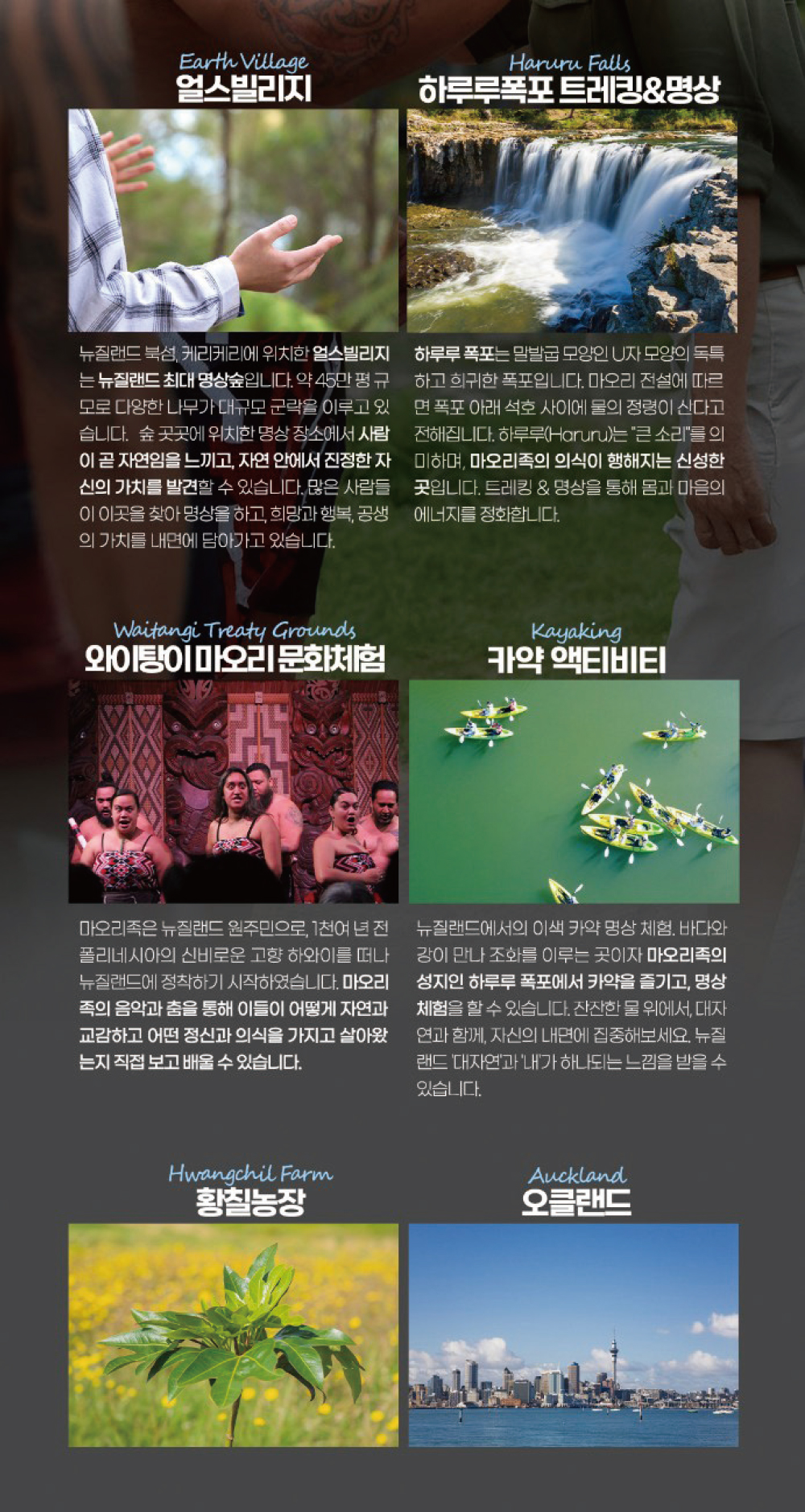 관련이미지